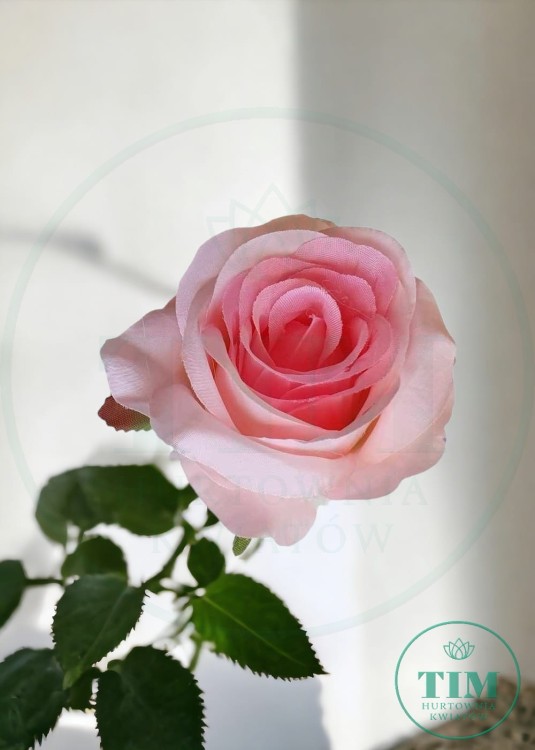 ec701bceac4a890c2620f93fdfcf0bd4.jpg