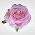 1db0f1d9d9ba6db2c402d1ca5bc497f7.jpg