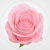 decd62195887532df9f56ea875bc9d05.png
