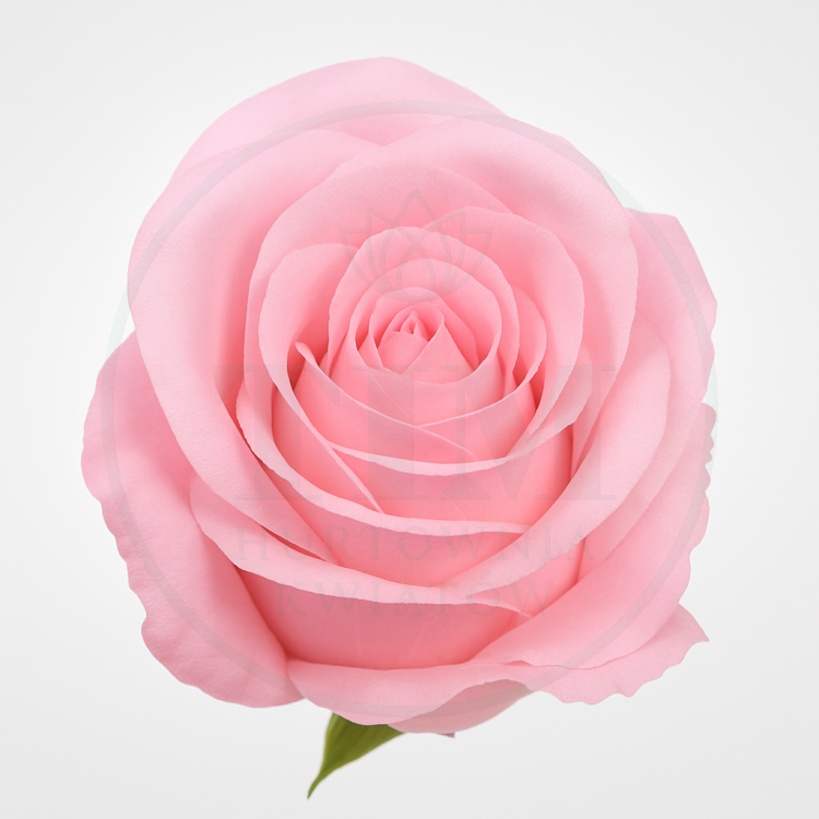 decd62195887532df9f56ea875bc9d05.png