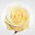fe6bb1d0dd53e17663ef57e4009a402c.png