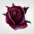 29d8a1d2e894b7fdae0187724da2ff2c.jpg