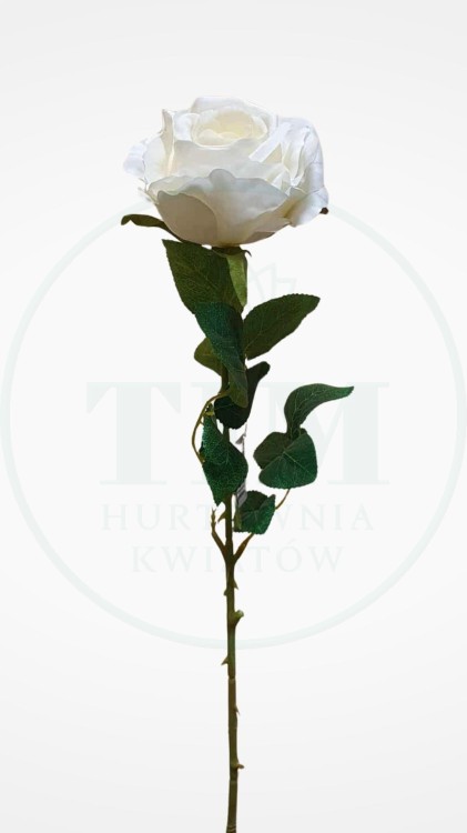 1202743e7e083757b451ef82c293335c.jpg