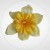 f77a17783b177bee673531c2b39e0c03.jpg