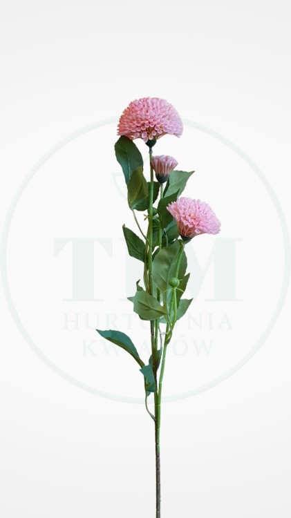 b9a475ed2346bccff41e3e866562fff0.jpg