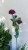bb5795aed5354f08bd522414bff05d7d.jpg