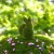 bb10f0a51764e9f5711007298dc05eb5.jpg