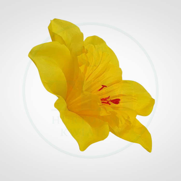 bed1a3d3260bff6a70aad68e21b0b04d.png