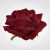 6d21956ef5a81f92457c7cb4bbd4a4d4.jpg