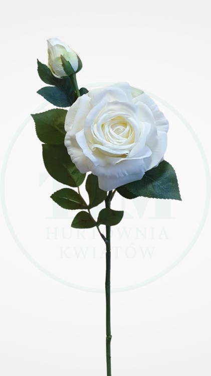 b003a7b1df378cf80b03c0cd6e4b56d6.jpg