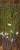 a97d5fca9b4c1e7c513949950991f9f7.jpg
