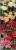 b3ccd834bda6ac8bb2f00d93abc2cb49.jpg