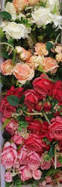 b3ccd834bda6ac8bb2f00d93abc2cb49.jpg
