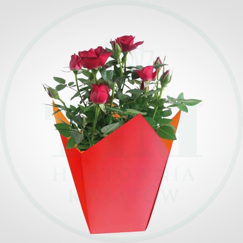 b2ad4ea3910d79c3ce838bbe38151169.jpg
