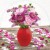14f1897dd28c7a6dd7cc11273b1cf085.jpg
