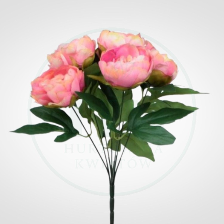 d55895b8b76cae7582ad3dd9e457afca.jpg