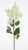 857fe55eaa1d3e7cdfad3fc8282e5775.png