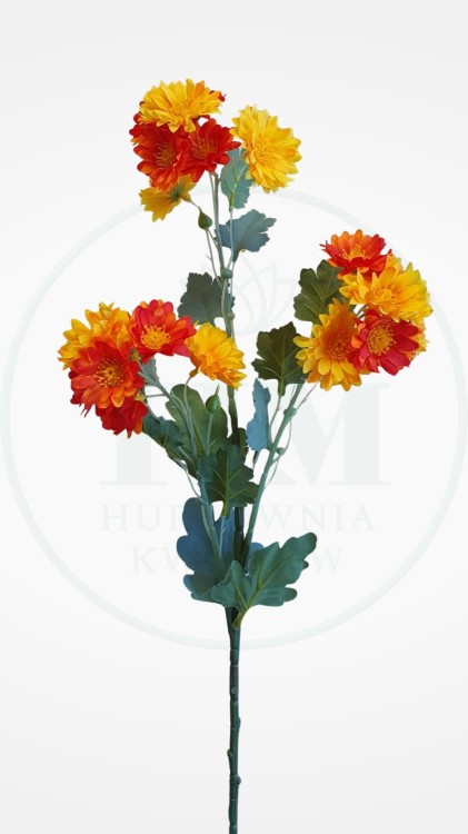 b1a6eda746b00885dfa3c776cce7fd23.jpg