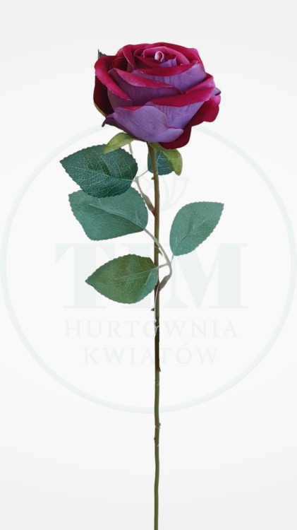 8d8be0181e2287551509fb0a6e74196c.jpg