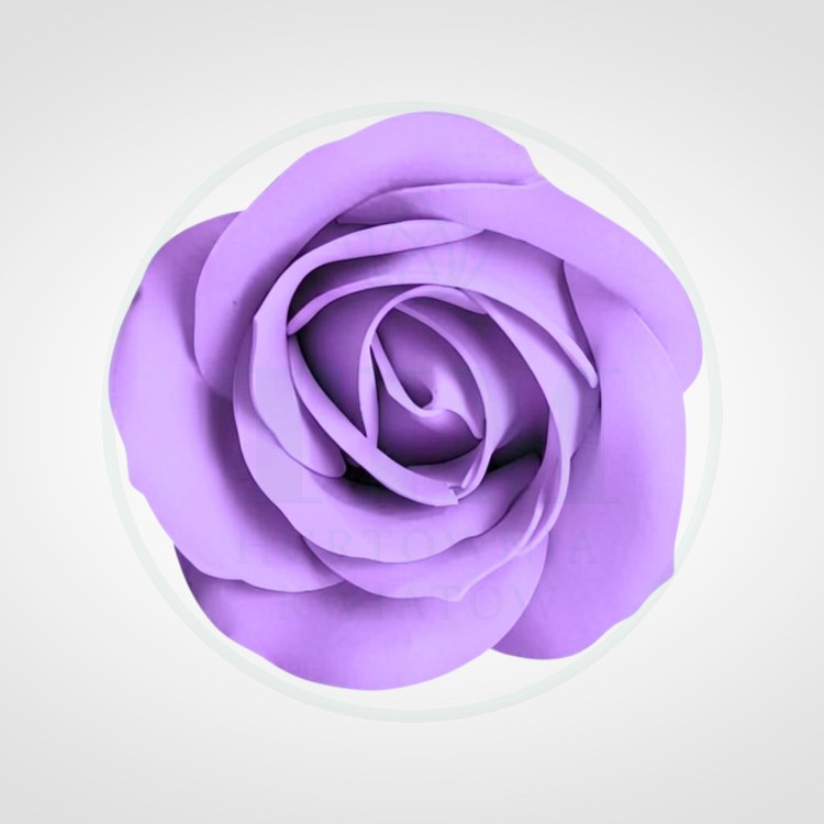 ce55d538d765e963928e3f7152d6e255.jpg