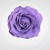 83f63e140ff1906dea5f31bed5cbb926.jpg