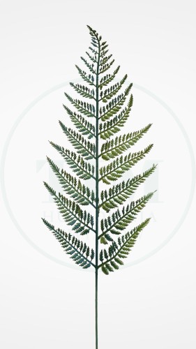 27c50fa40f229c07752b6d39594204c6.jpg