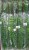 b4f7a3b81afe78cabcface1ea62da9ab.jpg