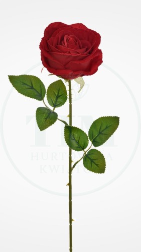 ace268c29653d2023df7c043c8f43dbf.jpg