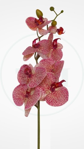 STORCZYK GAŁĄZKA SUN600 RÓŻOWO ŻÓŁTY 5902650732674.jpg