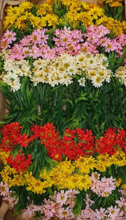 a2f6eac61e2c3b109ba84b83da490207.jpg