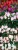 c64e3fafbd3dd2e913af117d4d4b47cd.jpg