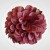 1a2c02cab82a48780afd2aafc2ad3ef1.jpg