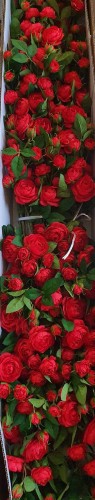 f0963d3ff46904373f74f1bd735a2b0f.jpg