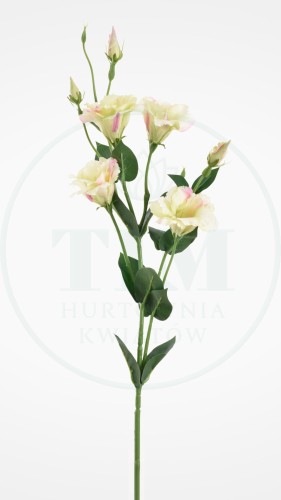 bca7293cf6c785cc20cb70ddfb726e36.jpg