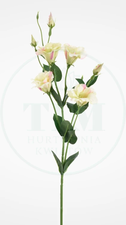 bca7293cf6c785cc20cb70ddfb726e36.jpg