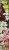 64f3a6dce84727da2f344a9dc5377a38.jpg