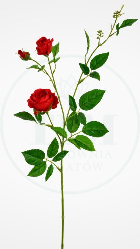 d0adf7d03a633b86c5627f8fd562d5e7.jpg