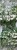 27b4a8a6b9601daed66963667c60edf7.jpg
