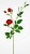 6c12c06ecc2fce74b9ff6b721cb6c5af.jpg