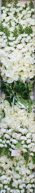185d2556666bb0ee6c60581b845bb2d0.jpg
