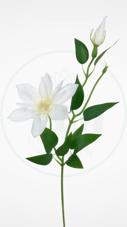 2ec633fe771acefe88ed4a93a9580df0.jpg