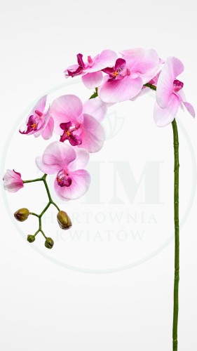 f43c5ca3a8eb28749beeedd4d4250089.jpg