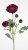 c8fce303d7be21a21ccbf1674a8dcef4.jpg