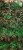 b2aa2b7bde655eff9971614d939fdda4.jpg
