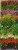 4c256340bc64fe58c6b4c89b6d2bc15d.jpg