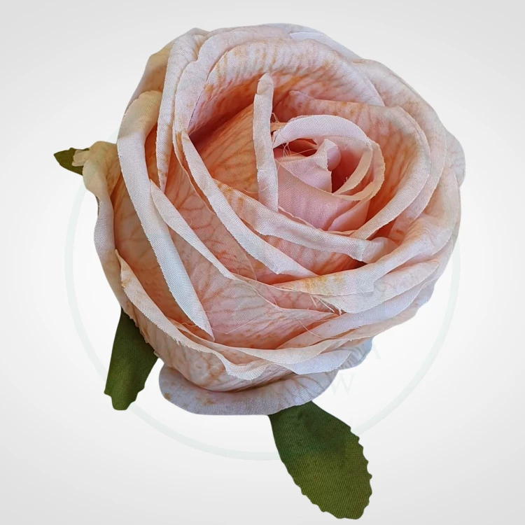 01f0bfaee8239b30e7e80e8be40e5122.jpg