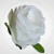 577bda911a053d1da29e2e8d3fae24f6.jpg