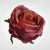 4c8fadadbd34c24e315991a9277fb8b8.jpg