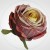 2b90d50cf045a8ebff3cff7d2826bfb6.jpg