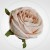 9e9de63e6f2110abd1856ffefd08dbf8.jpg